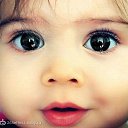 ���� �����, ��������� - ��������� 10 ��� 2016 � ������ ���� ����������