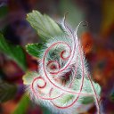 ���� ˸��, �����, 45 ��� - ��������� 20 ������ 2016 � ������ ������ ��������