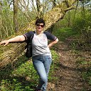 ���� �����, ������ - ��������� 31 ��� 2016 � ������ ���� ����������