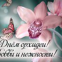 ���� ���������, ��������� - ��������� 4 ������ 2016 � ������ �������� ��������