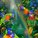 ���� Sandro, ��������, 70 ��� - ��������� 26 ������ 2016 � ������ ������ ��������