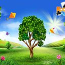  , , 61  -  19  2016    -