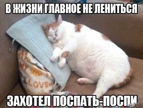 ���� ������� - 15 ������� 2016 � 10:41