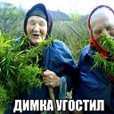 ���� �����, ������, 41 ��� - ��������� 11 ����� 2016 � ������ ����������
