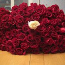  Spartak, , 47  -  24  2016