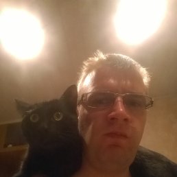 ����, ��������, 37 ���