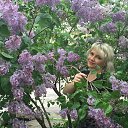 ���� �����, �������, 51 ��� - ��������� 12 ��� 2016 � ������ ���� ����������