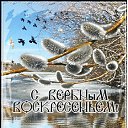���� Lyubov, ������������ - ��������� 24 ������ 2016 � ������ ������ ��������