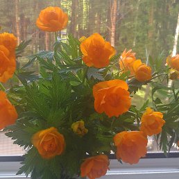 ���� �, ����������� - ��������� 3 ���� 2016