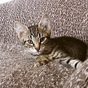 ���� Mikhael, ������, 56 ��� - ��������� 22 ������ 2016 � ������ ������ ��������