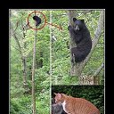 ���� ���������, ������ - ��������� 18 ���� 2016 � ������ �� �������� � �������