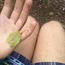 ���� ������, ������ - ��������� 22 ������� 2016 � ������ ���� ����������