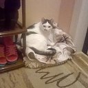 ���� ��������, ������������� - ��������� 3 ������ 2016 � ������ ����