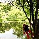 ���� �������, ������, 51 ��� - ��������� 6 �������� 2016 � ������ ���� ����������