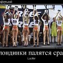 ���� A�����, �����-���������, 48 ��� - ��������� 31 ����� 2016 � ������ ������ ��������