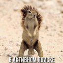���� �����, ������, 46 ��� - ��������� 16 ������ 2016 � ������ ��� ��� � ����� � ������!!!�