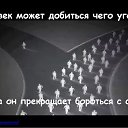  ,  -  19  2016    