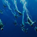    ,  -  31  2016    л