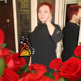 �����, ������, 56 ���