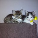 ����� � ������ ����!!!!!!!!!!!!!!!!!!!!!!!������� �� 5 �� ������� ���� ����Ȼ