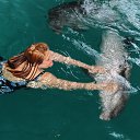 ���� ��������, ������ - ��������� 28 ��� 2016 � ������ ������ ��������