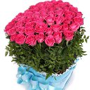 ���� *Ni��*, ������ - ��������� 6 ��� 2016 � ������ ���� ����������