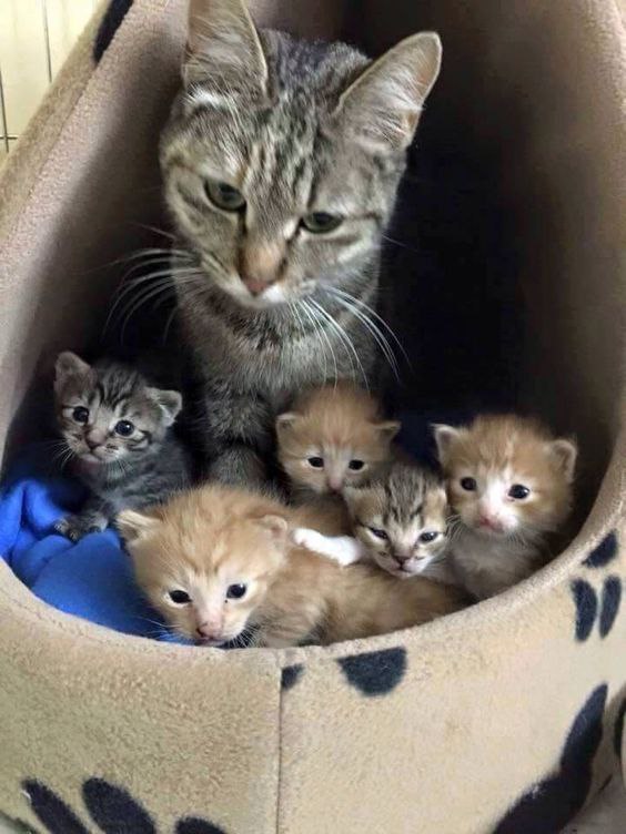    ! :-)