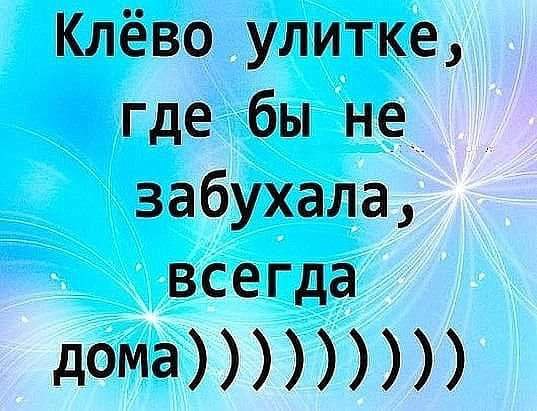   - 8  2016  03:03
