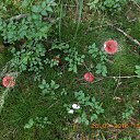 ���� ����, �����-��������� - ��������� 3 ������� 2016 � ������ ��������.�