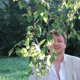 ��������, ������, 50 ���