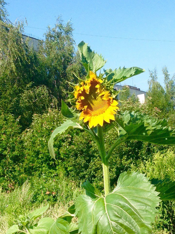 ��� � ������ ��������� ���������� ������!