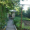  , , 73  -  29  2016   Ȼ