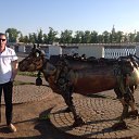 ���� �������, ������, 55 ��� - ��������� 14 ���� 2016 � ������ ���� ����������