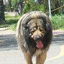 ���� Sani, �������, 45 ��� - ��������� 23 ��� 2016 � ������ ���� ����������