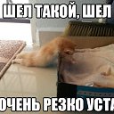 ���� ����, �����������, 43 ���� - ��������� 9 ������ 2016 � ������ ������ ��������