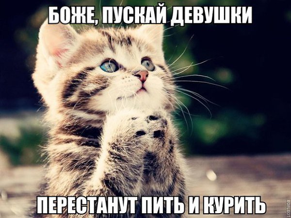 �� ��� ��� �����! - 20 ������ 2016 � 23:07