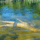 ���� �������, �������, 45 ��� - ��������� 2 ������� 2016 � ������ ���� ����������