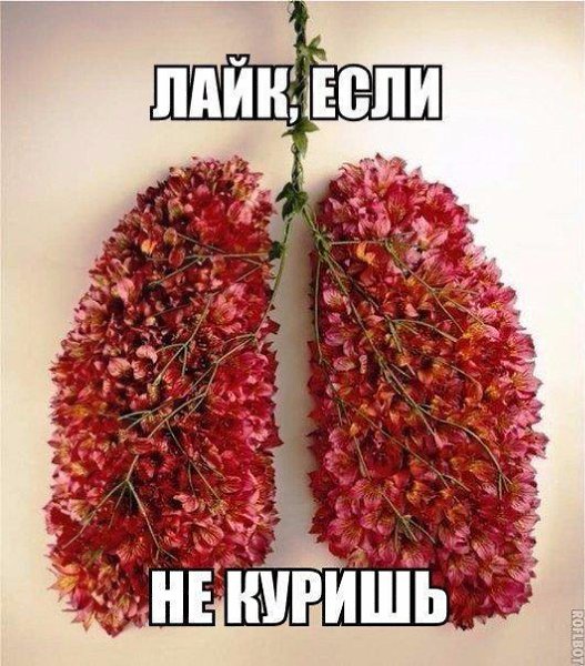    -  . - 8  2016  16:33