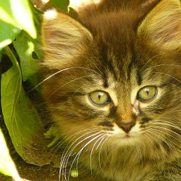 ����, ������, 27 ���