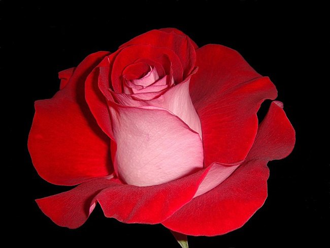     ,    ...    ,    ... - 2