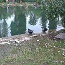 ���� ����, ������������, 35 ��� - ��������� 12 ���� 2016 � ������ �Vacation Abkhazya 2014 November�