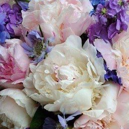 �������, ������