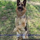 ���� Alekcandr, ������ - ��������� 20 ��� 2016 � ������ ���� ����������