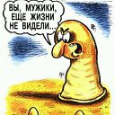 ���� ���, ������, 51 ��� - ��������� 18 ���� 2016 � ������ ������ ��������
