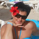 ���� �����, �������, 54 ���� - ��������� 20 ��� 2016