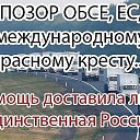 ���� �����, ������, 41 ��� - ��������� 24 ������ 2016 � ������ ������ ��������