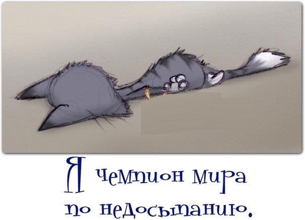 Без кота и жизнь не та - 13 марта 2016 в 17:01