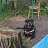 ���� Aleks, ������ - ��������� 29 ������ 2016