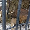 ���� ����, ������������, 35 ��� - ��������� 12 ���� 2016 � ������ �Moscow 2016 January�