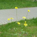  ,  -  24  2016   &quot;  &quot;.. 2016